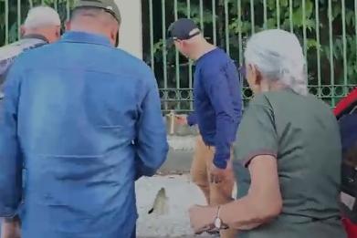 Macacos no Bosque Rodrigues Alves são alimentados por um grupo de pessoas e prática preocupa