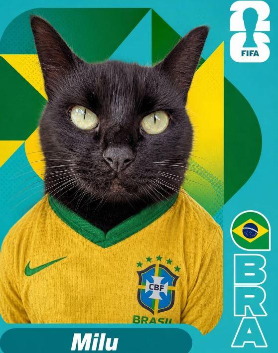 Brasil x Noruega: gato Milu aposta em classificação da Seleção Brasileira na Copa do Mundo