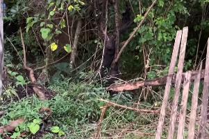 Há suspeita inicial de que a morte tenha ocorrido por causas naturais, mas as circunstâncias do caso ainda deverão ser apuradas pelas autoridades competentes.